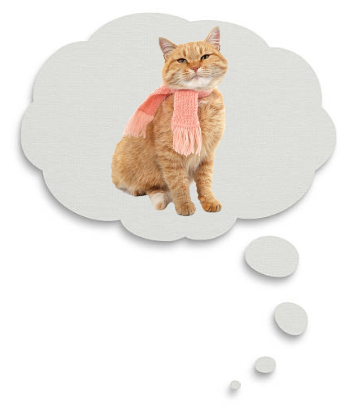  Untitled_design_(2).png